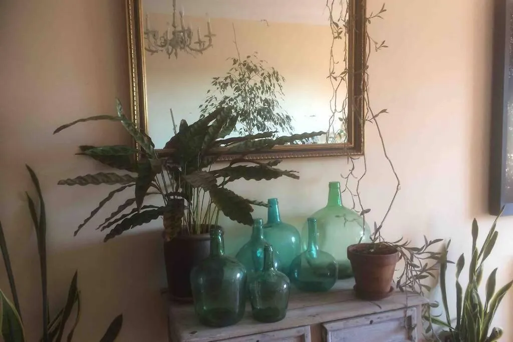 Holiday home Casa Entre Vinyes Villa Font-Rubi Spain